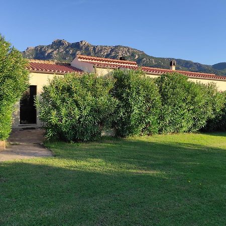 Agriturismo Asara Padru Esterno foto