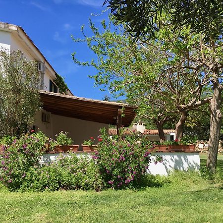 Agriturismo Asara Padru Esterno foto